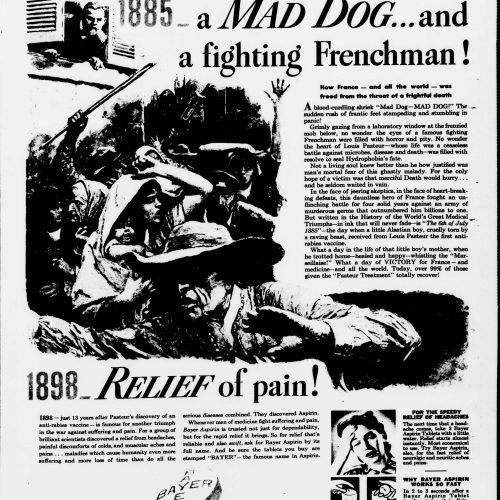 Mad Man Fight Rabies